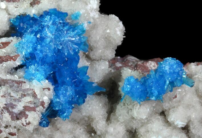 Vibrant Blue Cavansite Clusters on Stilbite - India #67794